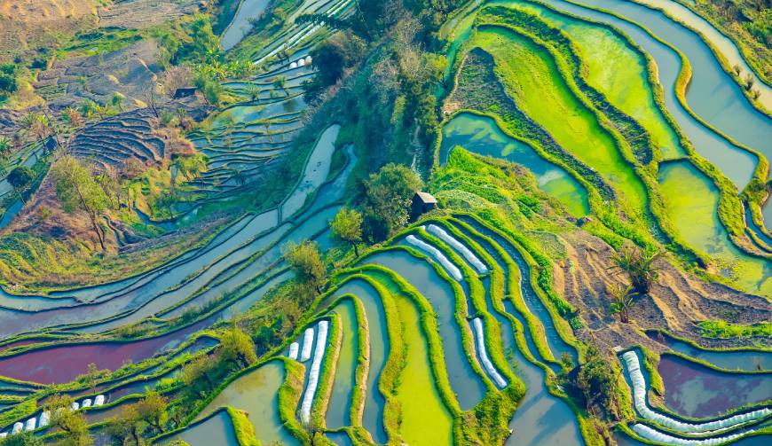 宝妈必备神器：临湘市产品视频拍摄轻松育儿好帮手