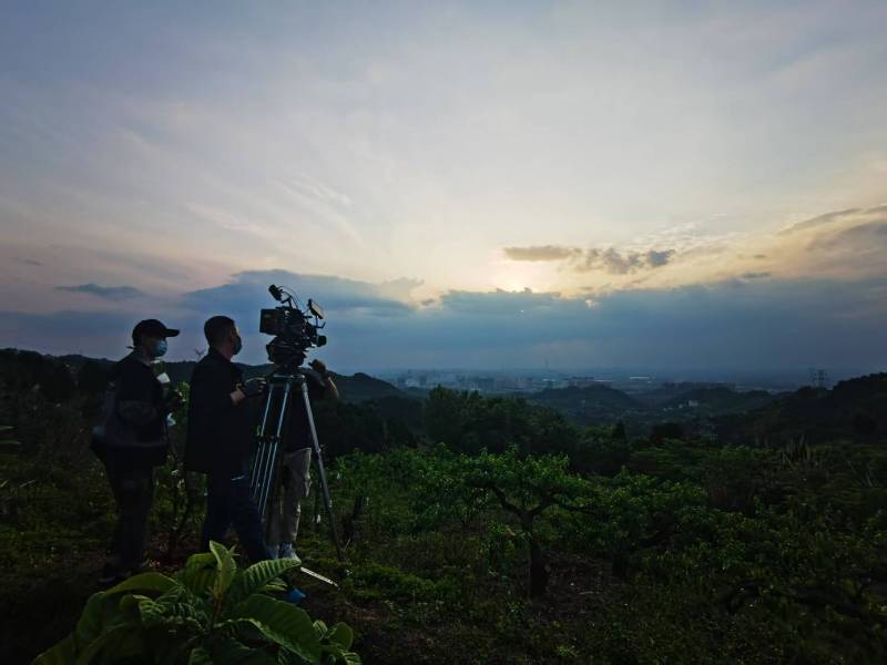 聚焦临湘市产品宣传视频拍摄公司，用专业实力铸就品牌传播传奇